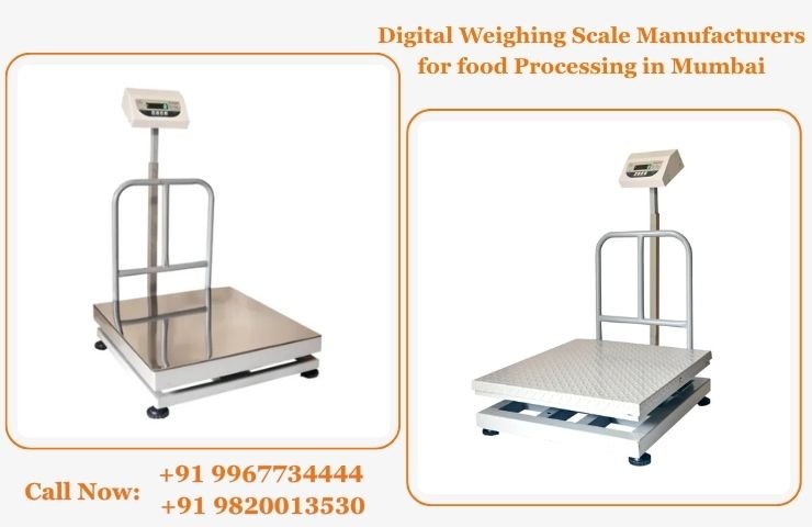 Digital Weighing Scale Manufacturers for food Processing in Mumbai
