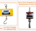 Heavy Duty Hanging Crane Scale Manufacturer in Navi Mumbai